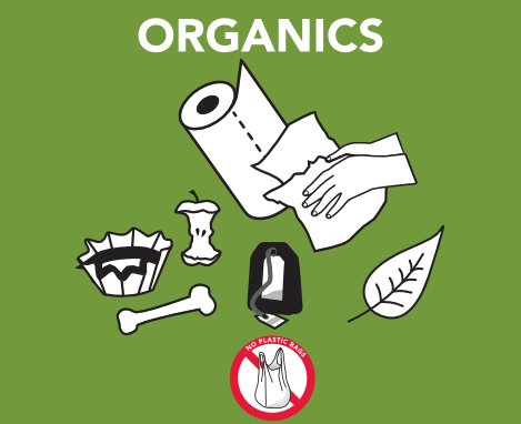 Green Bin Allowed Items